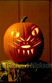 Check spelling or type a new query. Cat Face Jack O Lantern Photograph By Richard Nickson