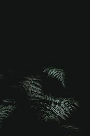 Beautiful Dark Wallpapers Aesthetic Iphone Backgrounds Free Hd Download Lock Scr In 2020 Iphone Wallpaper Night Black Wallpaper Iphone Dark Best Iphone Wallpapers
