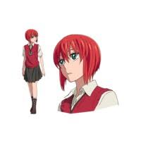 The ancient magus' bride / cast The Ancient Magus Bride Anime Characters