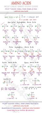 Ap Biology Biochemistry Basics Pogil Answer Key Pin On School