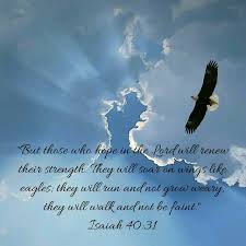 But Those Who Hope In The Lord Will Renew Their Strength They Will Soar On Wings Like Eagles They Will Run And N Hope In God Isaiah 40 31 Wings Like Eagles
