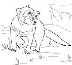 37+ tasmanian devil coloring pages for printing and coloring. Pin On Animals Wild B W