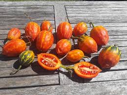 Image result for Coccinia adoensis