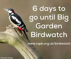 F or much of the past 12 months, while we haven't been able to venture further than the local park or the end of our garden path, many of us have taken vicarious pleasure in following the flight paths of. Rspb On Twitter 6 Days To Go Until Big Garden Birdwatch Http T Co Gsgzqcaq2u