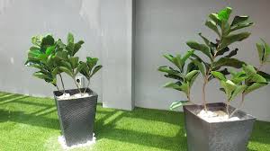 We did not find results for: Aliffshanusi Kewanganbijak101 On Twitter Apakah Kebodohan Manusia Tebang Pokok Hidup Lepas Itu Buat Pokok Plastik Jadikan Hiasan