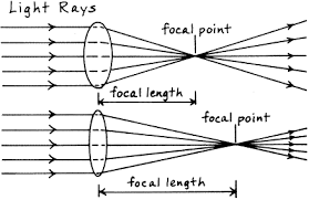 Magnifying Power And Focal Length Of A Lens Science Project Education Com Microscope Lesson Magnifying Lens Focal Length