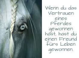 Hier Ist Ein Blaues Wildes Pferd Mit Blauen Grossen Augen Und Einer Gelben Mahne Bild Mit Einem Kurzen Pf Pferdespruche Pferde Hintergrundbilder Pferde Bilder