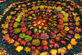 Image result for andy goldsworthy
