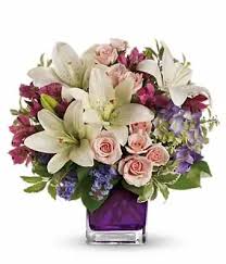 Answers to your questions… and much more. Send Flowers Lahore From Canada Archives Sendflowers Pk