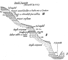 Profil Geologic In Versantul Nord Vestic Al Dealului Suverde După N Download Scientific Diagram