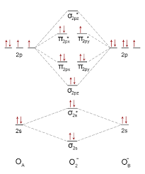 Molecular Orbital Theory -- Homodiatomics Use The Molecular Orbital Model  To Fully Describe The Bonding In O2+, O2, O2-, And O22-. Determine Which Of  The Following Statements Are True And Which Are