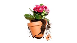 Sendflowers.com has been visited by 10k+ users in the past month We Need To Talk More About Mental Health At Work