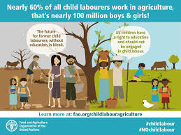 Child labour is often defined as work that deprives children of their childhood, their potential and their dignity, and that is harmful to physical and mental development. New Un Guidebook Seeks To Prevent Child Labour Practices In Agriculture Un News