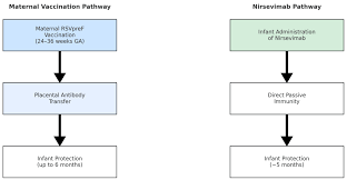 Image result for Nirsevimab