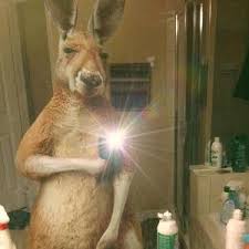 𝘼𝙧𝙞𝙚𝙡 𝙈𝙖𝙮𝙚𝙧𝙨🧛🏻‍♂️ (@arielito.mayers)