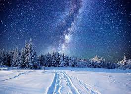 We have an extensive collection of amazing background images carefully chosen by our community. Sky Winter Night Nordic Landscapes Forest Starry Night Snow Landscape Hd Wallpaper Wallpaperbetter