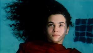 The Claire Denis Collection