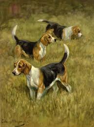 1950s Antique Beagle Dog Print Beautiful Beagle Art Illustration Wall Art Home Library Decor Birthday Gift For Dog Lover 47 Beagle Art Dog Print Dog Print Art