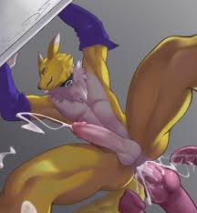 Rule34 - If it exists, there is porn of it  renamon  5855706