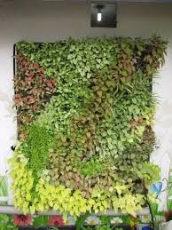 How does a hydroponic garden work? 33 Amazing Hydroponic Systems For Indoor Gardening