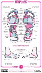 Reflexology Information And A Reflexology Chart For Foot