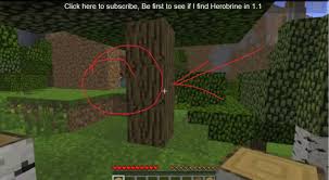 Minecraft Herobrine In Real Life Viewing Gallery Minecraft Minecraft Mobs Minecraft Creations