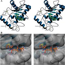 High-Resolution Crystal Structure of the Snake Venom Metalloproteinase BaP1  Complexed with a Peptidomimetic: Insight into Inhibitor Binding