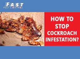 What's the best method of pest control for apartments? Fast Pest Control Melbourne
