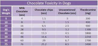 Chocolate Toxicity Chart For Dogs Baking Chocolate Causes The Worst Problems By Volume Keep It Out Of Halloween Safety Tips Halloween Safety Dog Health Tips