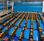 Tomra's sorting and grading solutions - FruitToday