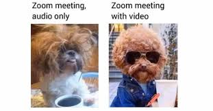 Progress News Progress Openedge Abl Six Virtual Meeting Moments That Would Never Happen In The Office Progresstalk Com