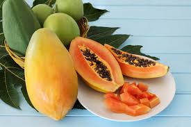 Image result for Carica papaya
