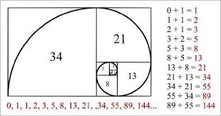 The fibonacci numbers are the numbers in the following integer sequence. Mit Einem Touch Auf Das Bild Erfahren Sie Dessen Geschichte Bildmarkierungsfunktion Bereitgestellt Von Thinglink Fibonacci Fibonacci Art Fibonacci Sequence