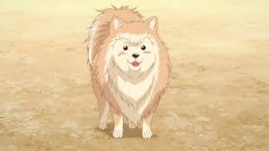 You can find english subbed oda cinnamon just click on the episode number and watch oda cinnamon nobunaga english sub online. Takeda Lucky Shingen Oda Shinamon Nobunaga Wiki Fandom
