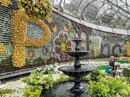 Officially established in 1816, it is the oldest such garden in the country. Royal Botanic Garden Sydney Australia Afar