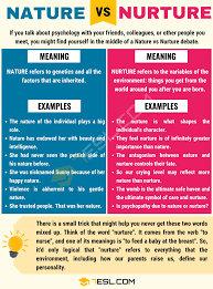 Pin By Ale On Psychology In 2021 Nature Vs Nurture Learn English Learning Theory