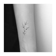 Olive Branches For Alina Handpoked Handpoked Tattoo Sticknpoke Ink Olive Tattoo Olive Branch Tattoo Tattoos