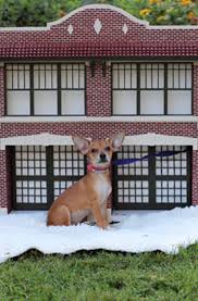 Check these great types of of diy dog house ideas out. 31 Custom Dog House Decor Ideas Sebring Design Build