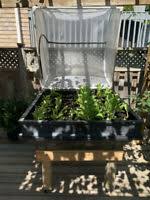 The broth sisters' winter vegetable minestrone soup. Raised Garden Bed Find Garden Patio And Outdoor Furniture For Your Home In Ontario Kijiji Classifieds