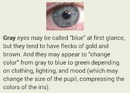 I Think My Eyes Are Grey I Have Always Said They Were Blue Even Though Sometimes They Can Be Really Green Or Grey De Eye Facts Blue Eye Facts Eye Color
