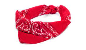 How To Put On A Dog Bandana Exclusive Deals And Offers