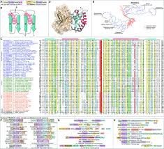 We did not find results for: Bacterial Death And Tradd N Domains Help Define Novel Apoptosis And Immunity Mechanisms Shared By Prokaryotes And Metazoans Elife