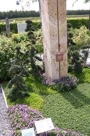 050519buga Grab56 Grabbepflanzung Bepflanzung Grabstein