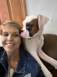 Fighters Wanted: Old Headz Seeking Matches in Minneapolis, MN