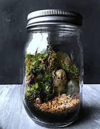 Ready Made Woodland Terrarium In Glass Mason Jar Moss Terrarium Terrarium Moss Terrarium Mason Jar Terrarium