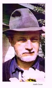 Couve: noviembre 2013