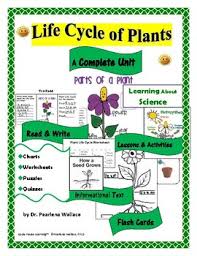 Life Cycle Of Plants Puzzles Flash Cards Charts Tri Folds