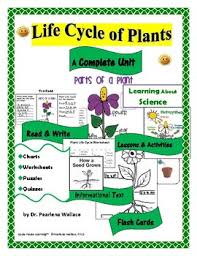 life cycle of plants puzzles flash cards charts tri folds