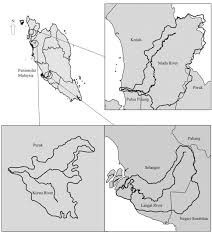 Check spelling or type a new query. Stable Channel Analysis With Sediment Transport For Rivers In Malaysia A Case Study Of The Muda Kurau And Langat Rivers Sciencedirect