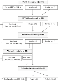 Oncotarget Findings Of Multiple Hpv Genotypes In Cervical